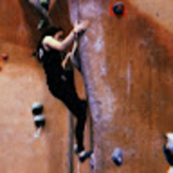 Meet your Posher, Ava - Picture 1 of 1